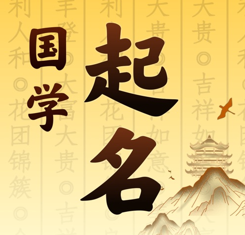 勐腊国学起名 人工起名一对一